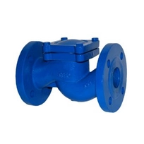 Клапан обратный подъемный RD16.01.050.16.Ф/Ф DN50 PN16